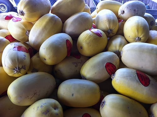 Spaghetti Squash