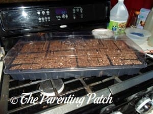 Preparing the Soil for Beet Seeds