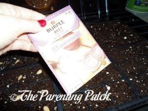 Packet of Beet Seeds