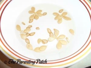 Squash Seeds in a Bowl