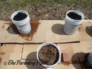 Soil in Containers
