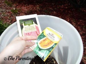 Watermelon Seed Packets