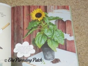 Inside Pages of 'Let's Garden: A Step by Step Introduction' 3