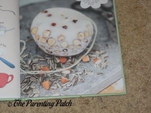 Inside Pages of 'Let's Garden: A Step by Step Introduction' 4