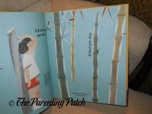 Inside Pages of 'How Big Is Big? How Far Is Far? All Around Me' 3