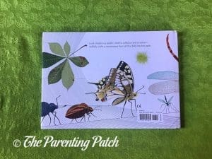 Back Cover of 'A Web'