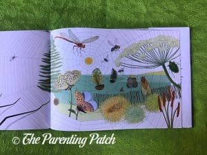 Inside Pages of 'A Web' 2