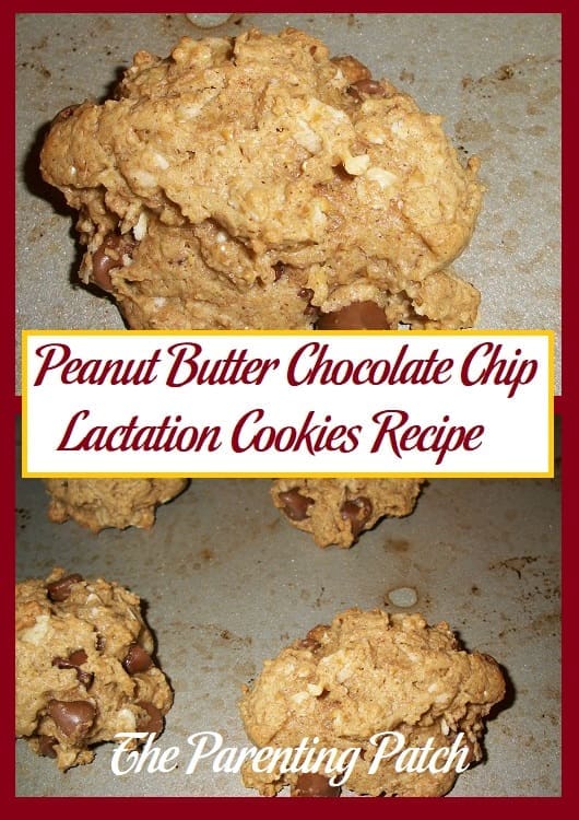 Peanut Butter Chocolate Chip Lactation Cookies Recipe