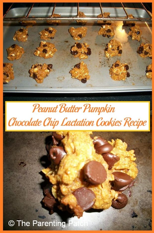 Peanut Butter Pumpkin Chocolate Chip Lactation Cookies Recipe