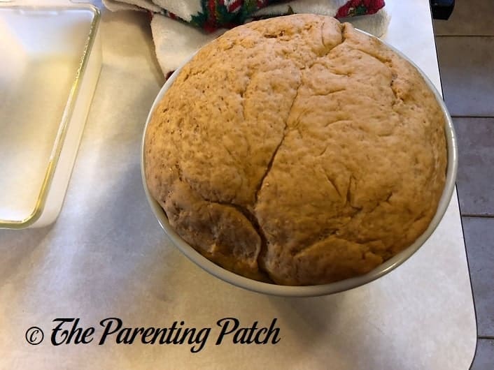 Risen Dough for Brown Bread