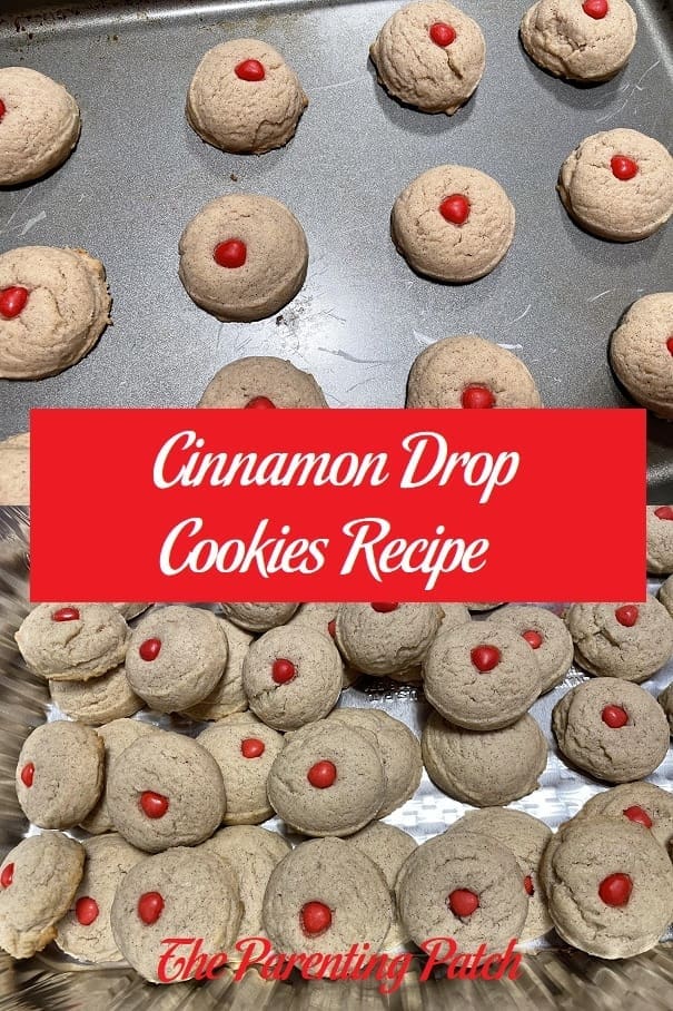 Cinnamon Drop Cookies Recipe