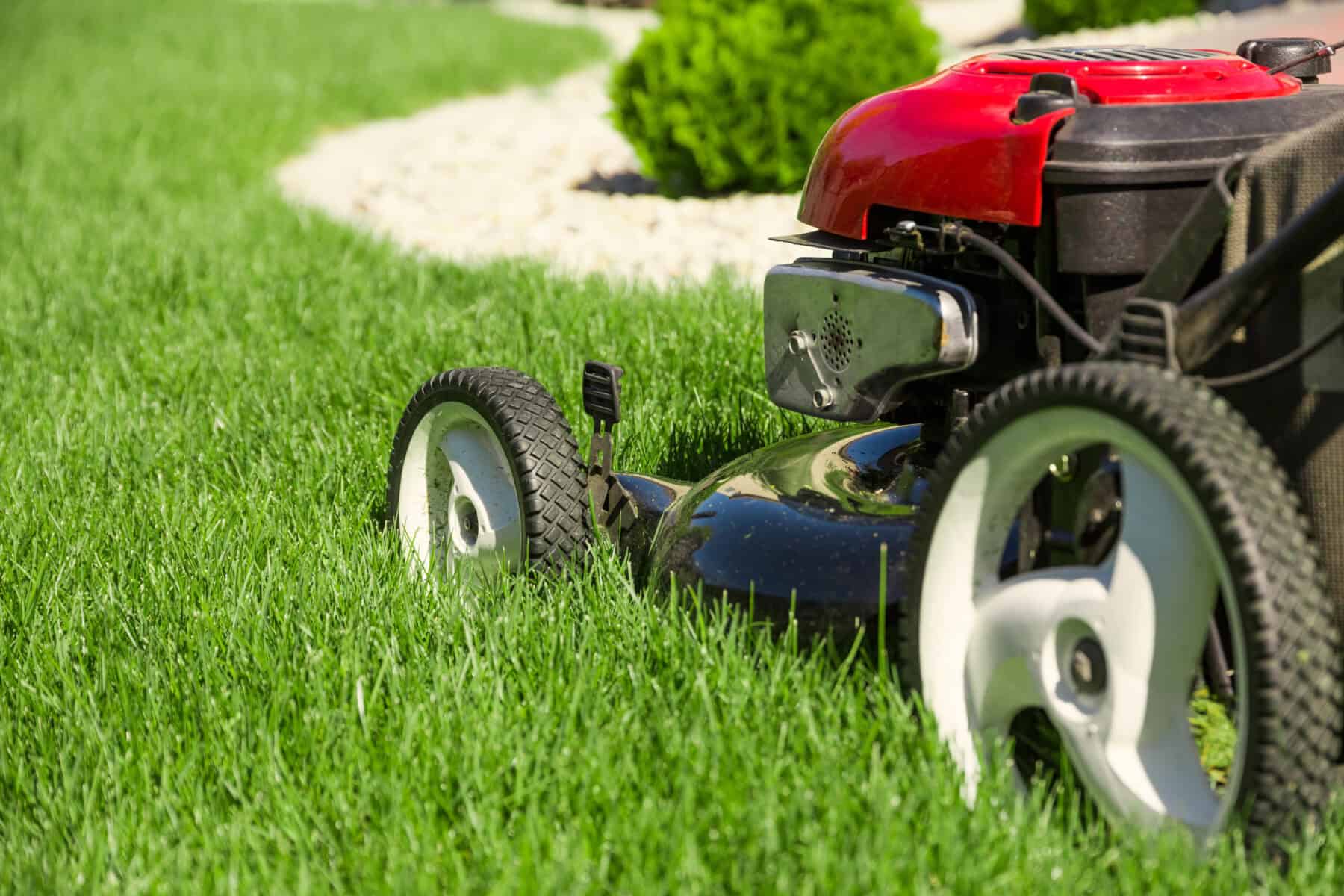 Fall and Winter Lawn Mowing