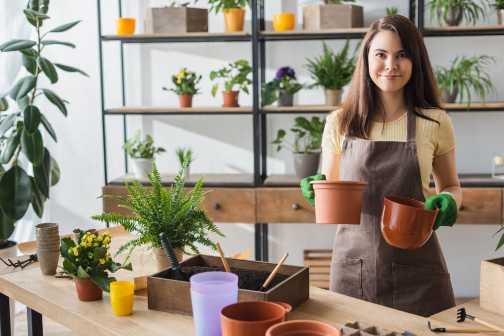 Houseplants in August