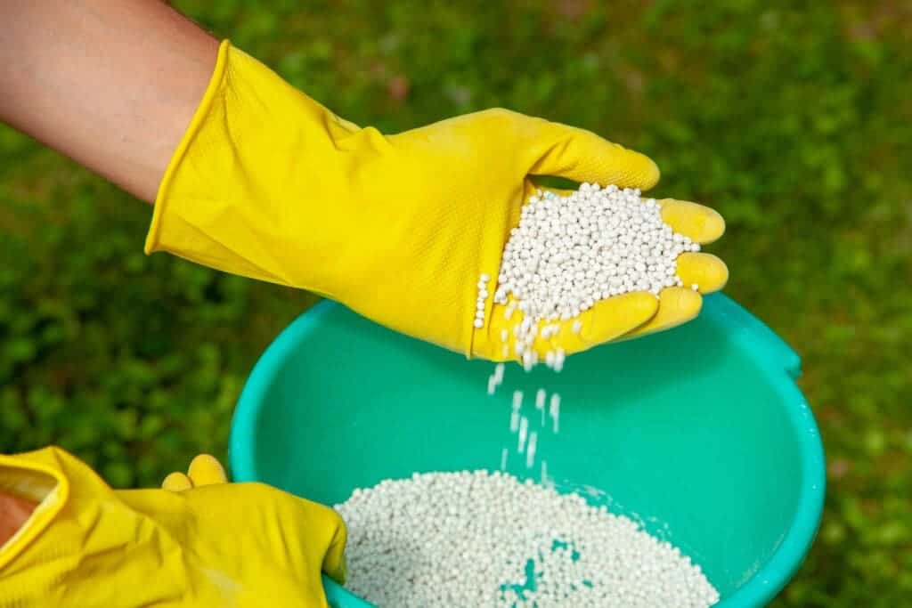 Lawn Fertilizer for Winter